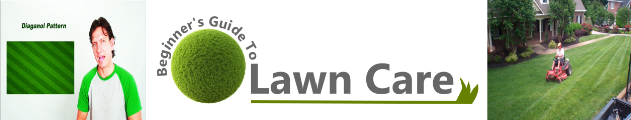 Beginners Guide To Lawn Care