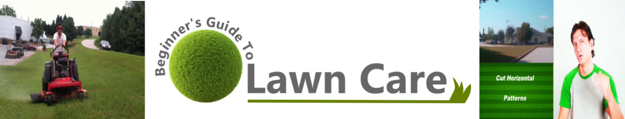 Beginners Guide To Lawn Care