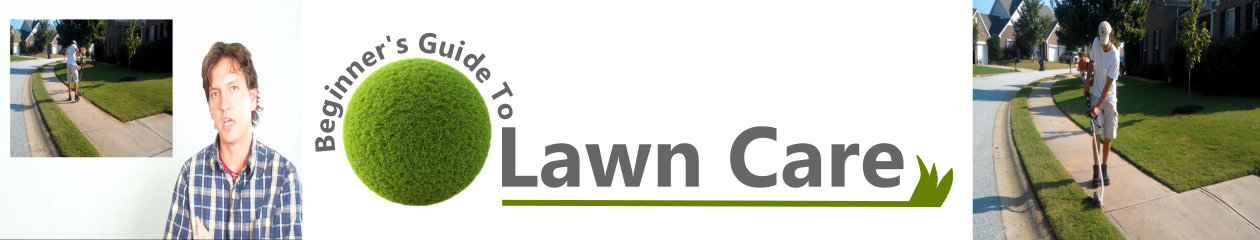 Beginners Guide To Lawn Care